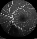 BRVO_NVE_hacar1_071221_prelaser05.jpg