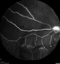 BRVO_NVE_hacar1_071221_prelaser12.jpg