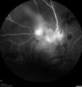 BRVO_NVE_hacar1_071221_prelaser14.jpg