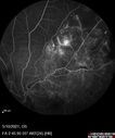 BRVO_dabell1_051021_13.jpg