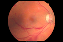 BRVO_nvE_BRLU_112912_01_copy.png