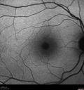 CME_gadup_122619_03.jpg