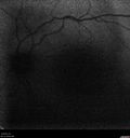 CME_gadup_122619_04.jpg