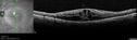 CME_gadup_122619_07.jpg