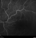 CME_gadup_122619_15.jpg