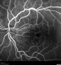 CME_gadup_122619_16.jpg