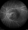 CME_gadup_122619_18.jpg