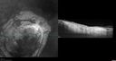 CNVM-TTT-MM1_frale_071521_06.jpg
