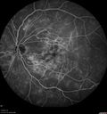 DME_cabr_021819_16.jpg