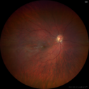 FEVR_jegre_073020_02.png