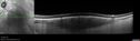 Halo_121926__04142025_28329.jpg