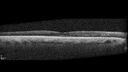 NPDR_116888_92024_03.jpg