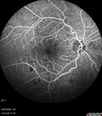 NPDR_116888_92024_07.jpg