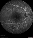 NPDR_116888_92024_09.jpg