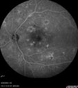 NPDR_116888_92024_17.jpg