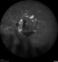 PDR-VA1_adadk_072820_31.jpg