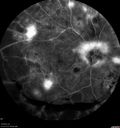PDR_kaco_102918_22.jpg
