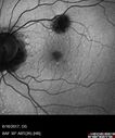 POHS_ancer_061617_08.jpg