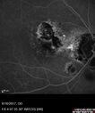 POHS_ancer_061617_17.jpg