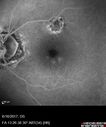 POHS_ancer_061617_22.jpg
