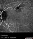 POHS_ancer_061617_27.jpg
