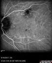 POHS_ancer_061617_28.jpg