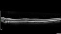 RP-cme_mapr_121318_08.jpg