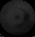 RP-cme_mapr_121318_09.jpg