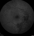RP-cme_mapr_121318_10.jpg