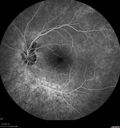 RP-cme_mapr_121318_17.jpg
