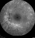 RP-cme_mapr_121318_19.jpg