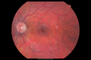 RP_SinePigment_PeCi_052114_03.png