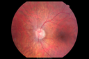 RP_SinePigment_PeCi_052114_04.png