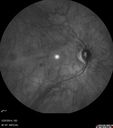 RP_SinePigment_PeCi_052114_09.jpg