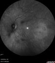 RP_SinePigment_PeCi_052114_10.jpg