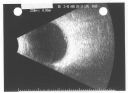 Scans_001.jpg