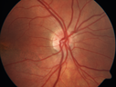 UAI-color_28129.png