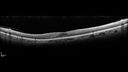 VH-npdros_010319_chdo_05.jpg