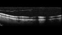 VH-npdros_010319_chdo_07.jpg