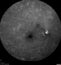 VH-npdros_010319_chdo_21.jpg