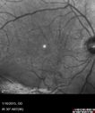 VMT_gero2_011615_09.jpg