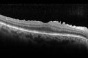 VMT_gero3_022715_13.jpg