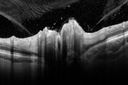 aion_chfr_06181309.jpg