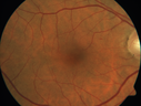 amd-wet-csr_caimb_110819_02~0.png