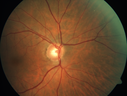 amd-wet-csr_caimb_110819_03~0.png