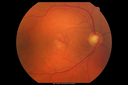 amd_mactel_haol_0716_01.png