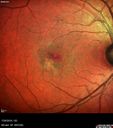 amd_mactel_haol_0716_11.jpg