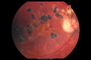 anma_060712_02.png