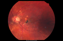 anma_060712_04.png