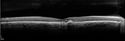 apmppe4_rofa_110915_13.jpg
